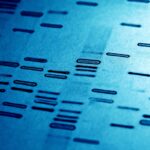 DNA