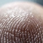 fingerprint